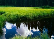 英雄联盟总决赛门票-英格拉姆三分雨如瀑，提前关掉尼克斯翻盘悬念