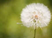 英雄联盟总决赛直播-哈弗茨全程高能输出，皇马碾压比利时—足坛双雄的胜利之歌