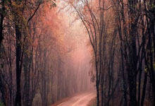 神锋破阵！C罗以一敌众上演中超封神之战