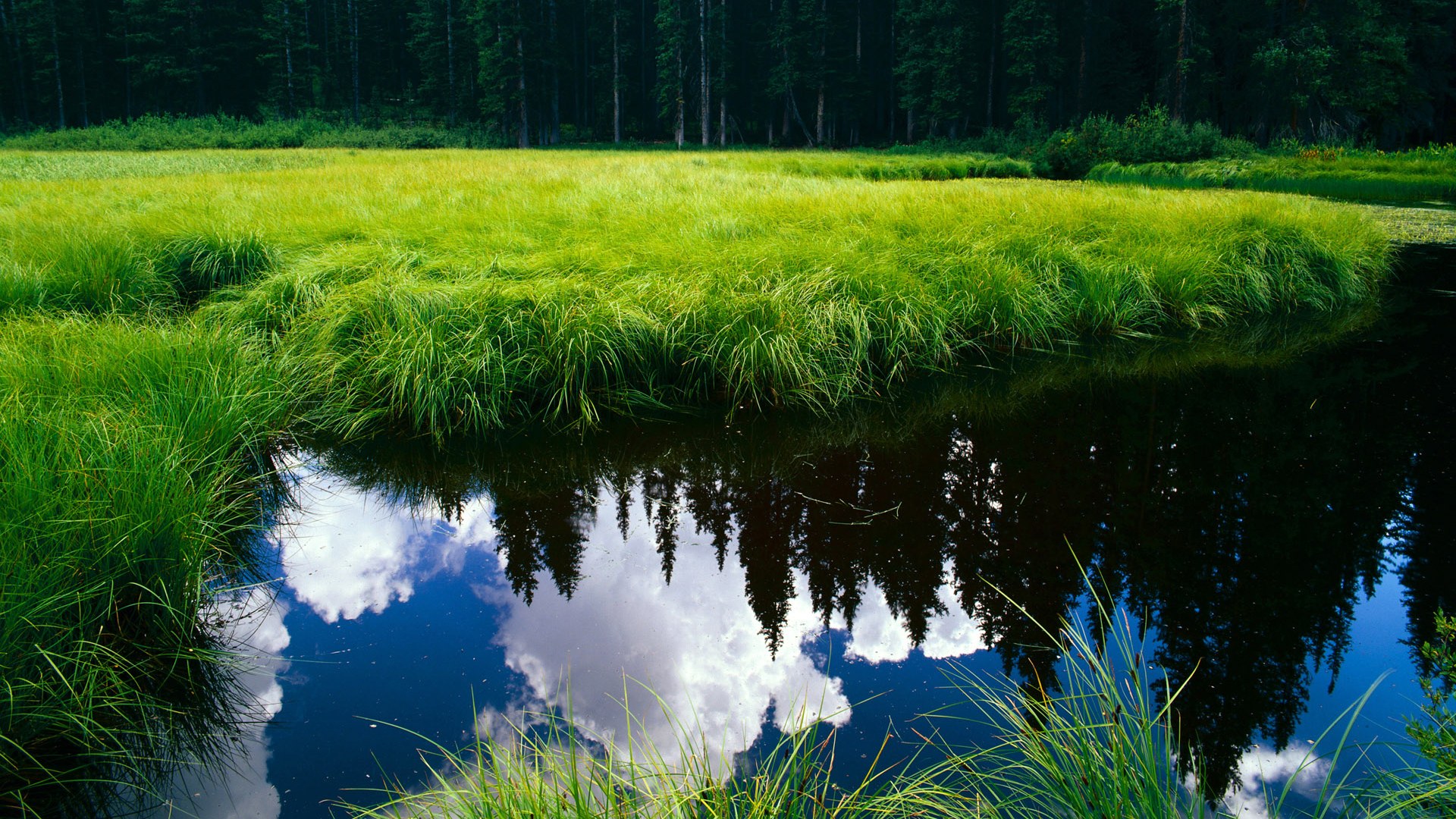 英格拉姆三分雨如瀑,提前关掉尼克斯翻盘悬念