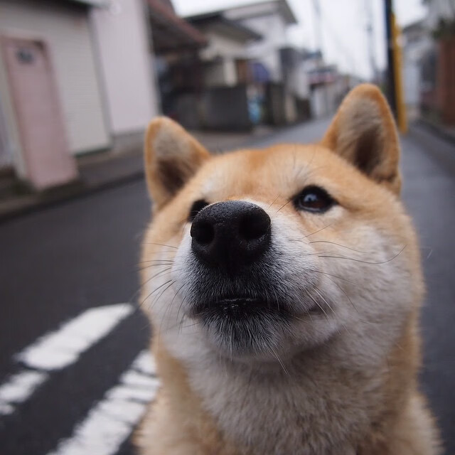 火箭最后0.7秒,杜兰特冲湖人替补席大喊,快防他底角!