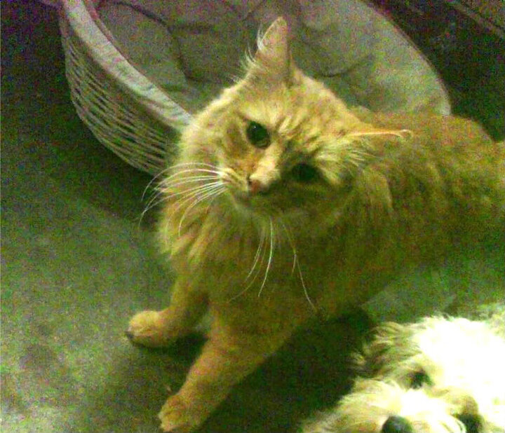 精密手术与重锤破城，论现代进攻的两极艺术