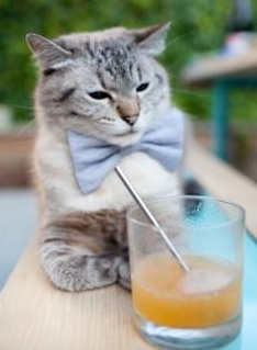 欧冠淘汰赛之夜,福克斯节奏如何成为豪门终结者