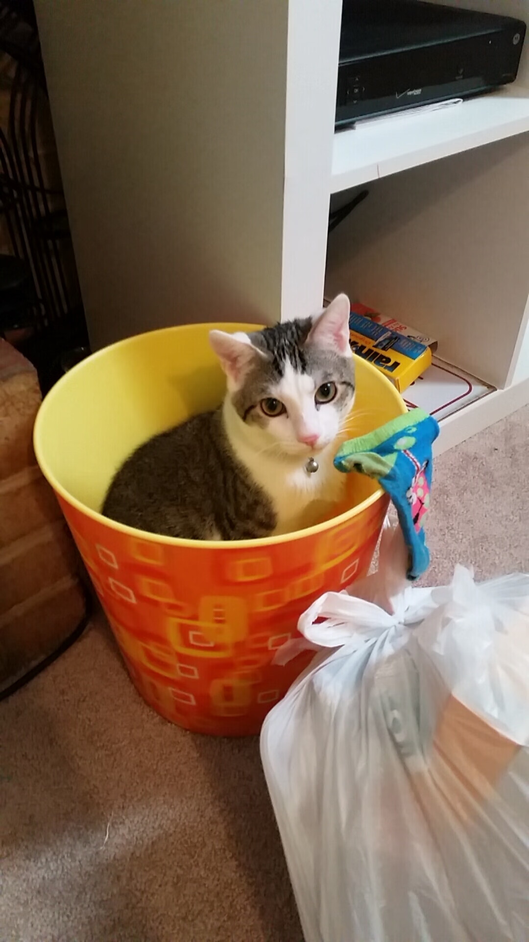 马赛曲对阵法多悲歌，苏亚雷斯如何让葡萄牙的防线成为绝望的布景