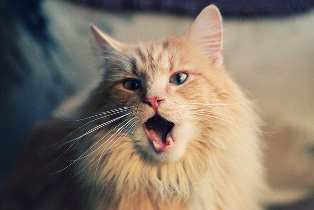 韵律掌控者，米切尔的节奏魔法，马刺加时奏响胜利交响曲