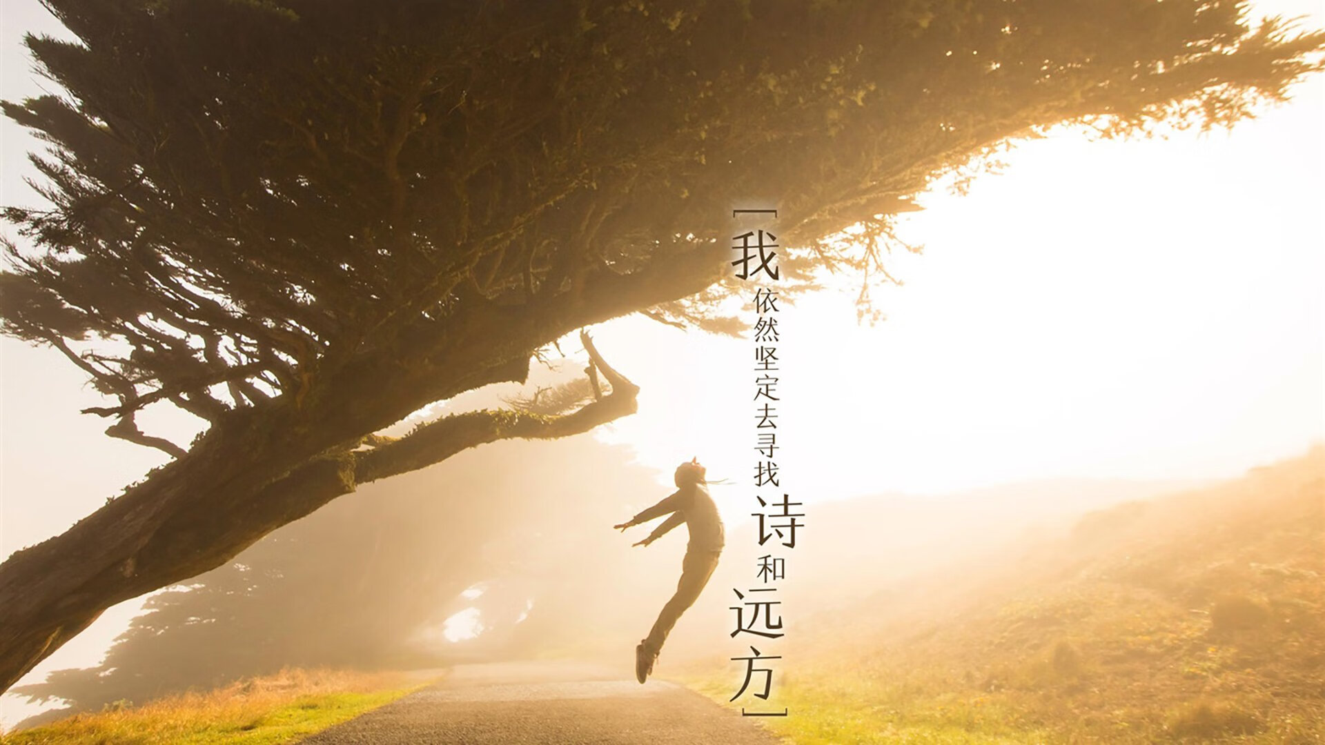 锋芒对决，2026世界杯C组哥伦比亚VS沙特，C罗一剑封喉引爆节奏之战